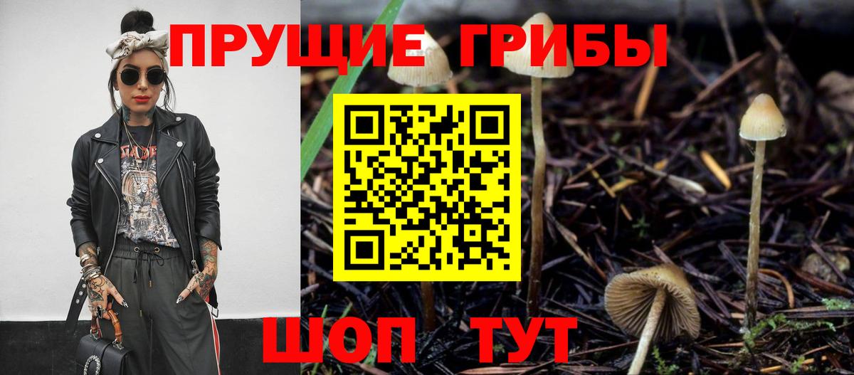 Псилоцибиновые грибы MAGIC MUSHROOMS  Псилоцибиновые грибы прущие грибы  Коркино  Вход с VPN 